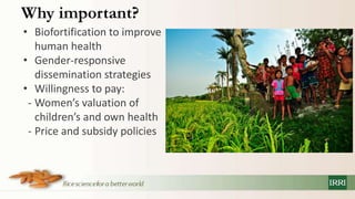 Can micronutrient training create women’s demand for high-zinc rice? The case of Bangladesh