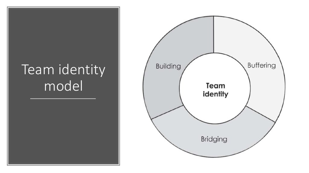 Team identity
model
 