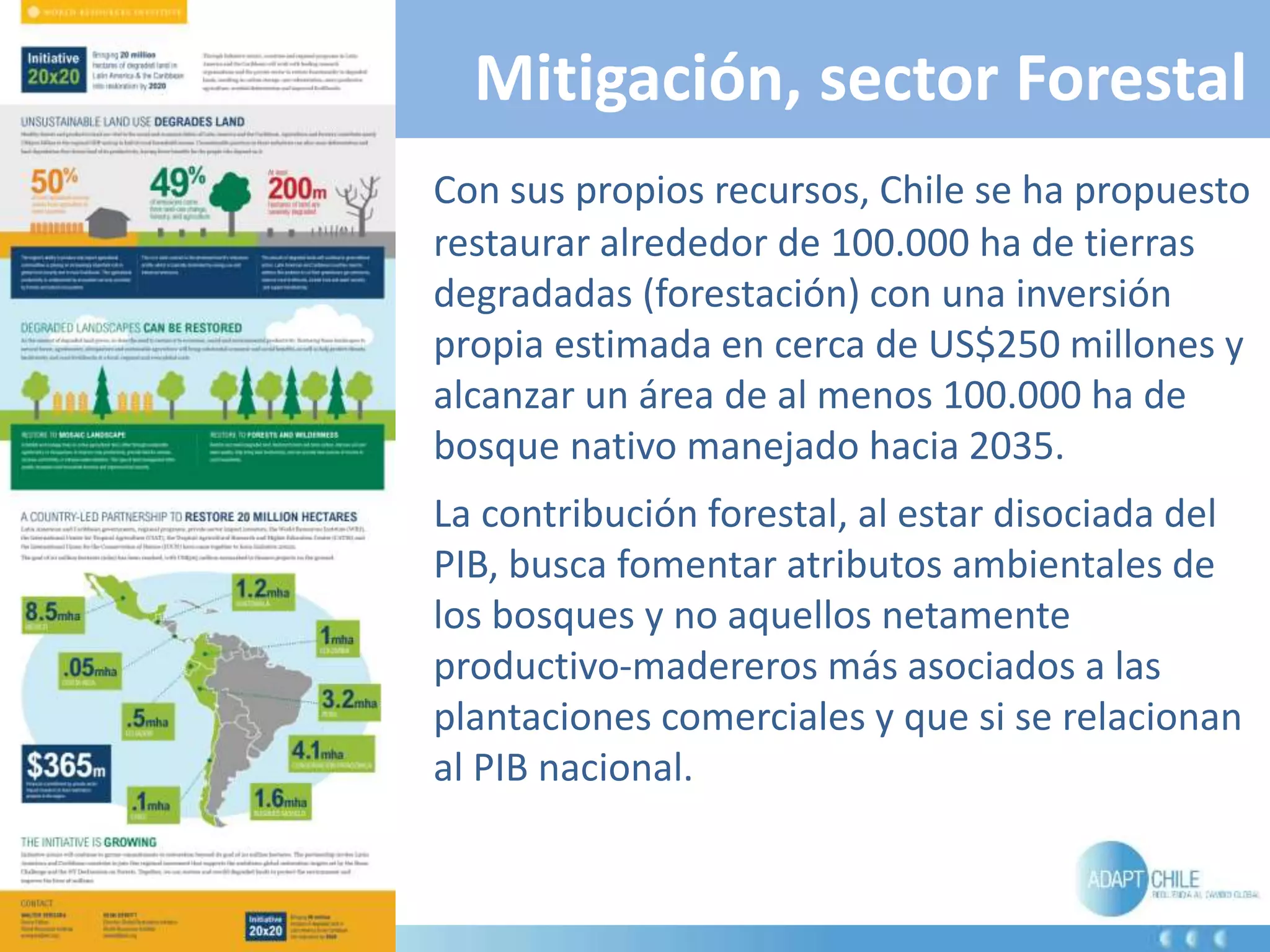 Slide 12