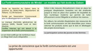 La Forêt communautaire de Mindzi : un modèle qui fait école au Gabon
Grâce à des mesures d’encadrement mises en place les
pratiques d’exploitation forestière ont été améliorée
jusqu’à la mise en place d’un système de traçabilité du
bois numérique moderne qui permet de lutter
efficacement contre l’illégalité et améliorer les revenus.
Par ailleurs, les activités d’exploitation des ressources de
la forêt communautaire ont été diversifiées pour mieux
valoriser les produits autres que le bois et développer
des projets économiques
Située au Nord-Est du Gabon; dans la
province du Woleu-Ntem, département de
l’Okano. 12.278 hectares
Le manque d’activités génératrices de
revenus (AGR), l’exode rural et bien
d’autres.
Portée par l’association Communauté
pour le développement rural (CDR)
La participation active des jeunes et des femmes
Le sort était scellé par de nombreux maux
Le village était voué à disparaître
Conflits internes qui ont abouti à la
suspension de la forêt communautaires
La prise de conscience que la forêt communautaire est une
opportunité
 