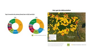 Hot spot de déforestation
 