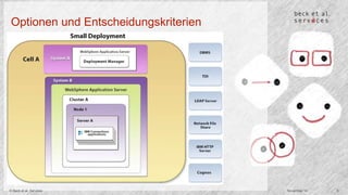 Optionen und Entscheidungskriterien 
© Beck et al. Services November 14 5 
 