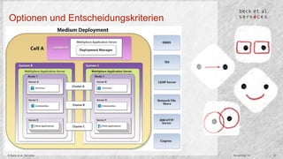 Optionen und Entscheidungskriterien 
© Beck et al. Services November 14 6 
 