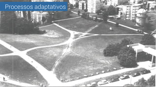 Processos adaptativos
 