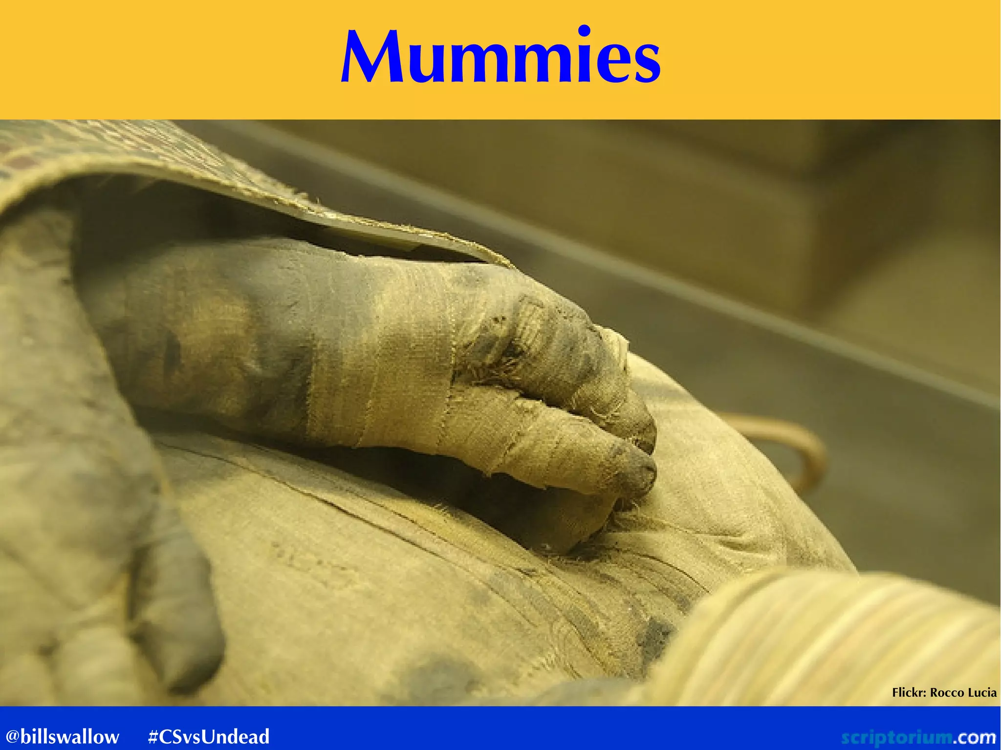 Mummies
Flickr: Rocco Lucia
@billswallow #CSvsUndead
 