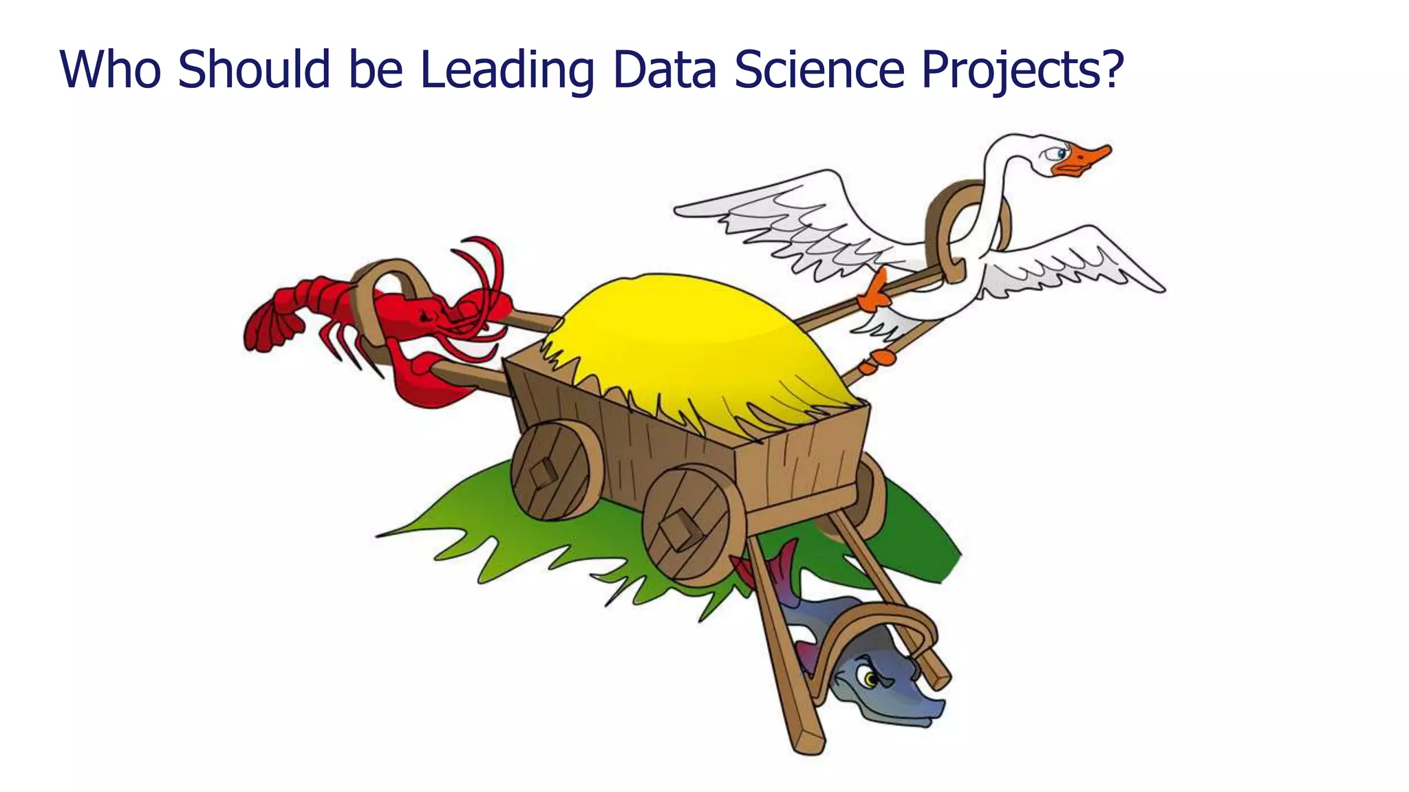 Who Should be Leading Data Science Projects? 