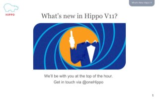 What’s New Hippo
11
1
 