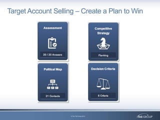 Target Account Selling – Create a Plan to Win




                     © The TAS Group 2012
 