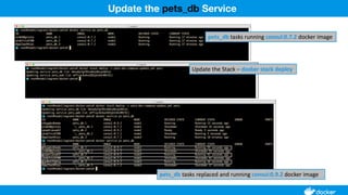 Update the pets_db Service
 