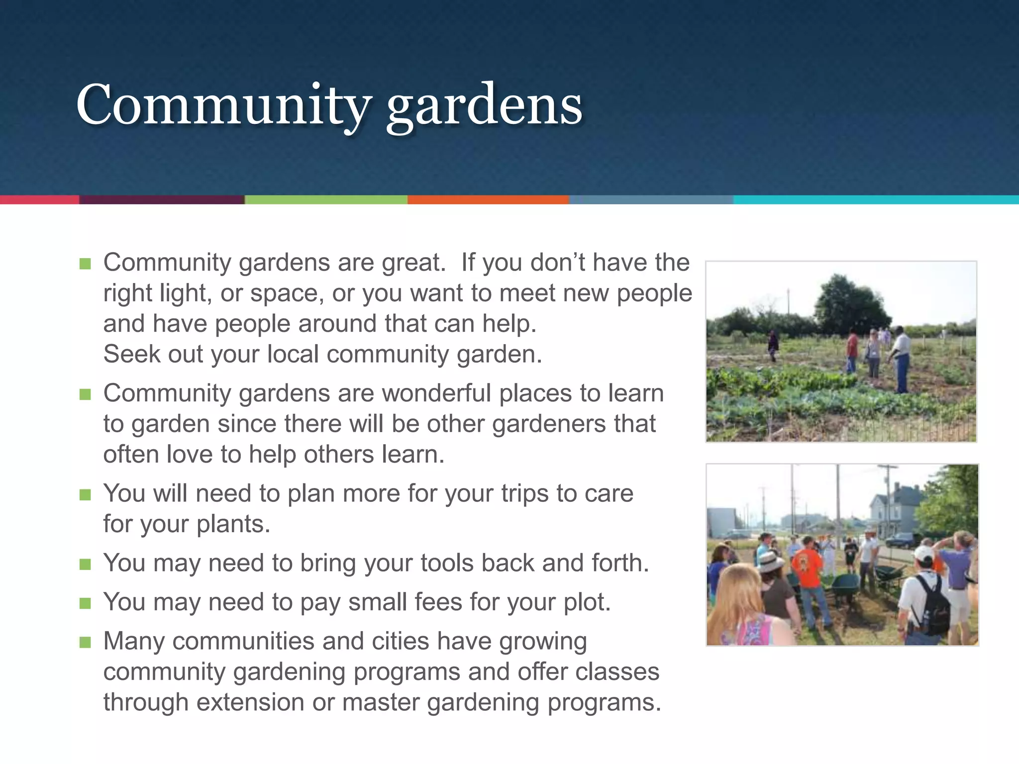 Community gardens

   Community gardens are great. If you don’t have the
    right light, or space, or you want to meet new people
    and have people around that can help.
    Seek out your local community garden.
   Community gardens are wonderful places to learn
    to garden since there will be other gardeners that
    often love to help others learn.
   You will need to plan more for your trips to care
    for your plants.
   You may need to bring your tools back and forth.
   You may need to pay small fees for your plot.
   Many communities and cities have growing
    community gardening programs and offer classes
    through extension or master gardening programs.
 