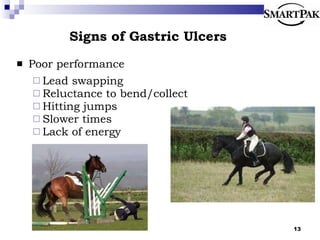 Signs of Gastric Ulcers Poor performance Lead swapping Reluctance to bend/collect Hitting jumps Slower times  Lack of energy 