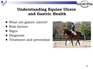 Understanding Equine Ulcers  and Gastric Health What  are  gastric ulcers? Risk factors Signs  Diagnosis Treatment and prevention 