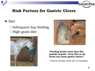 Risk Factors for Gastric Ulcers Diet Infrequent hay feeding High grain diet “ Feeding horses more than five pounds of grain  every five to six hours can cause gastric ulcers.” ~Frank M. Andrews, DVM, Univ. of Tennessee 