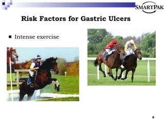 Risk Factors for Gastric Ulcers Intense exercise 