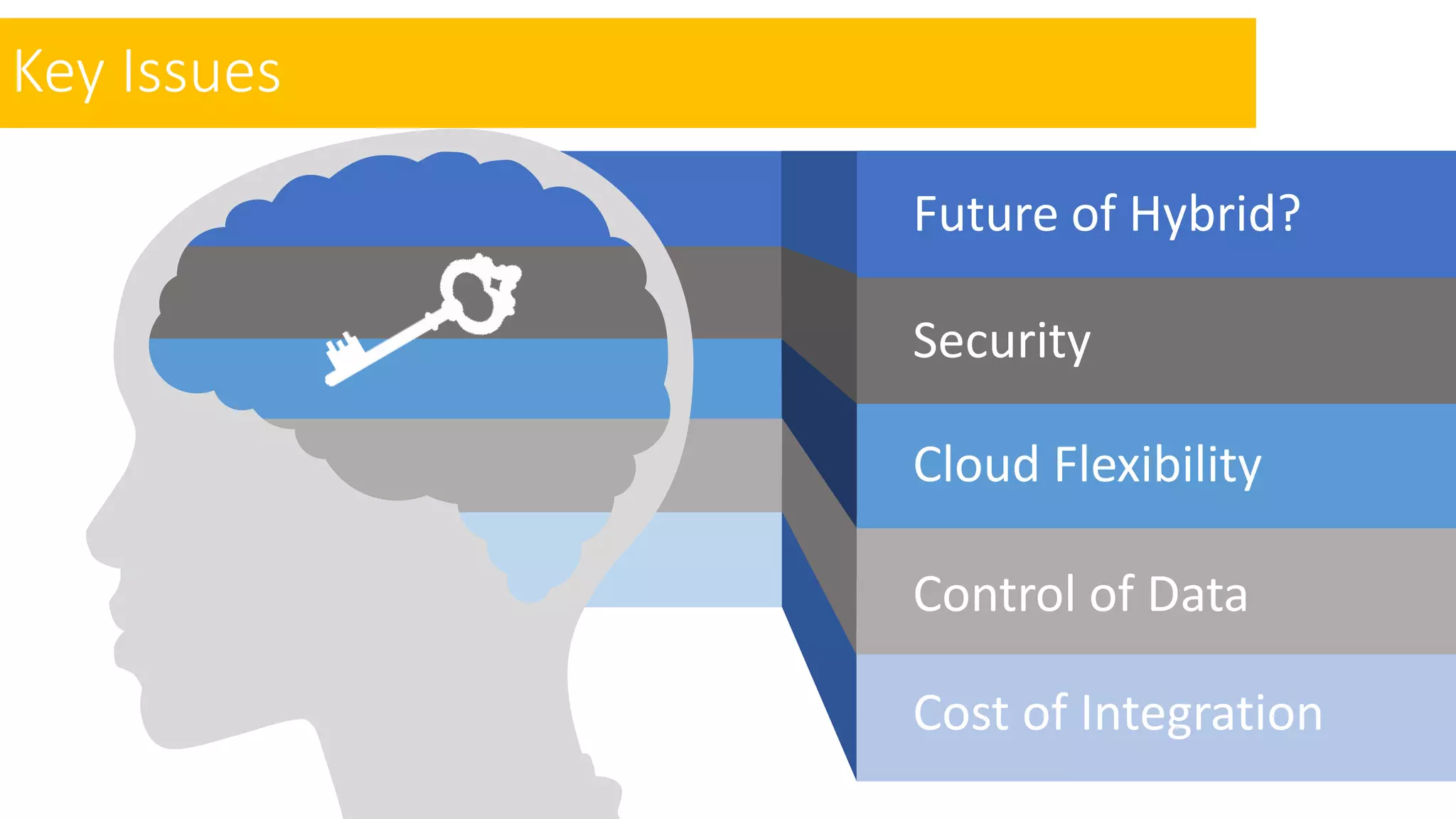Key Issues
Security
Future of Hybrid?
Cloud Flexibility
Control of Data
Cost of Integration
 