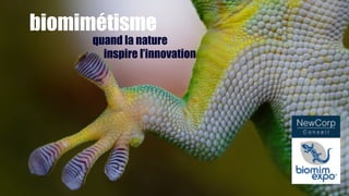 biomimétisme
quand la nature
inspire l’innovation
 