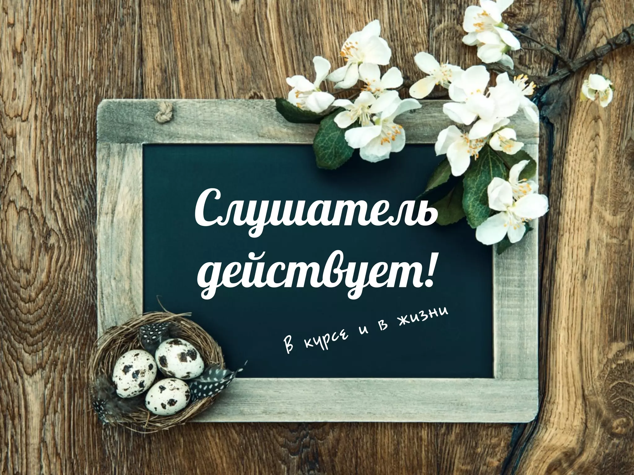 Слушатель
действует!
 êóðрñå è â æèçíè