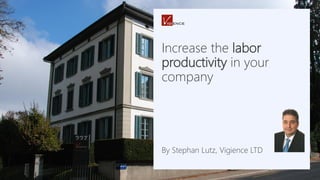 Increase the labor
productivity in your
company
By Stephan Lutz, Vigience LTD
 