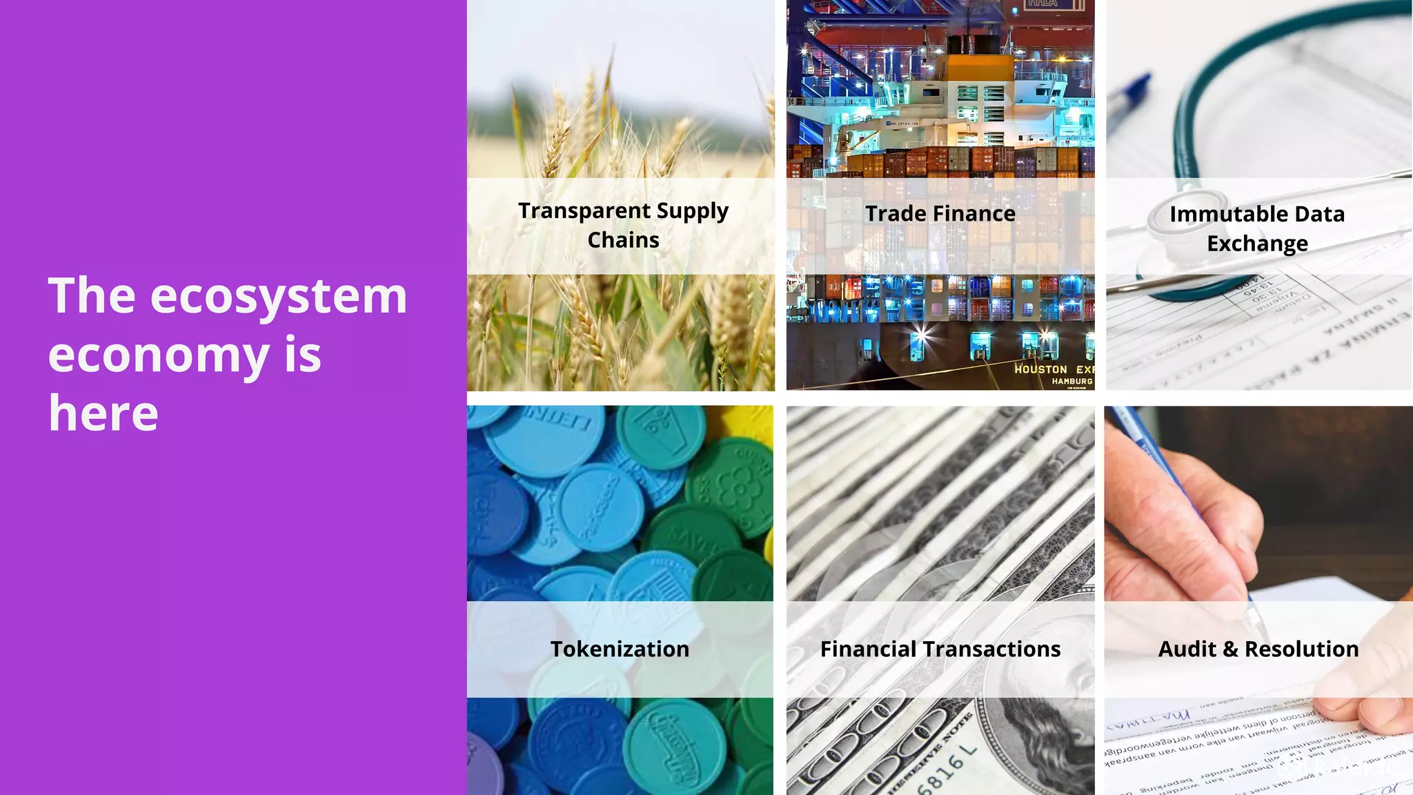 Transparent Supply
Chains
Immutable Data
Exchange
Audit & ResolutionFinancial TransactionsTokenization
Trade Finance
The ecosystem
economy is
here
 
