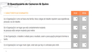 35
O Questionário de Cameron & Quinn
 