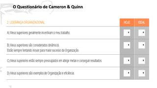 36
O Questionário de Cameron & Quinn
 