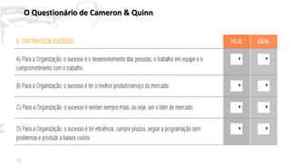 40
O Questionário de Cameron & Quinn
 