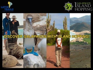 Island hopping in Galapagos Islands
We will talk about the following:
• Itinerary options & activities available
• Scheduled departure dates and rates
• Best time to travel
• Alternate programs available to your clients

 
