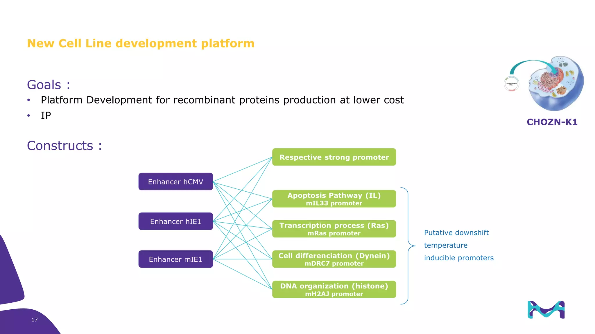 New Cell Line development platform
Goals :
• Platform Development for recombinant proteins production at lower cost
• IP
Constructs :
CHOZN-K1
17
 