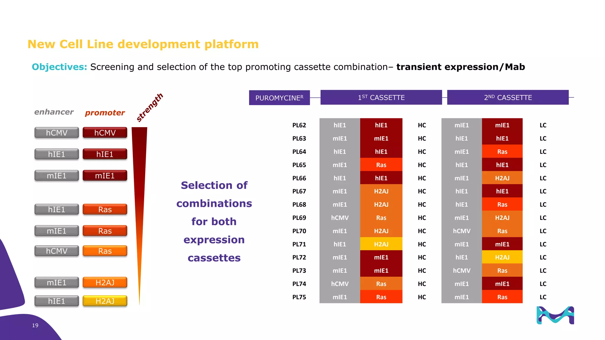 hCMV hCMV
hIE1 hIE1
mIE1 mIE1
hCMV Ras
hIE1 Ras
mIE1 Ras
hIE1 H2AJ
mIE1 H2AJ
Selection of
combinations
for both
expression
cassettes
enhancer promoter
PL62 hIE1 hIE1 HC mIE1 mIE1 LC
PL63 mIE1 mIE1 HC hIE1 hIE1 LC
PL64 hIE1 hIE1 HC mIE1 Ras LC
PL65 mIE1 Ras HC hIE1 hIE1 LC
PL66 hIE1 hIE1 HC mIE1 H2AJ LC
PL67 mIE1 H2AJ HC hIE1 hIE1 LC
PL68 mIE1 H2AJ HC hIE1 Ras LC
PL69 hCMV Ras HC mIE1 H2AJ LC
PL70 mIE1 H2AJ HC hCMV Ras LC
PL71 hIE1 H2AJ HC mIE1 mIE1 LC
PL72 mIE1 mIE1 HC hIE1 H2AJ LC
PL73 mIE1 mIE1 HC hCMV Ras LC
PL74 hCMV Ras HC mIE1 mIE1 LC
PL75 mIE1 Ras HC mIE1 Ras LC
PUROMYCINER 1ST CASSETTE 2ND CASSETTE
Objectives: Screening and selection of the top promoting cassette combination– transient expression/Mab
New Cell Line development platform
19
 