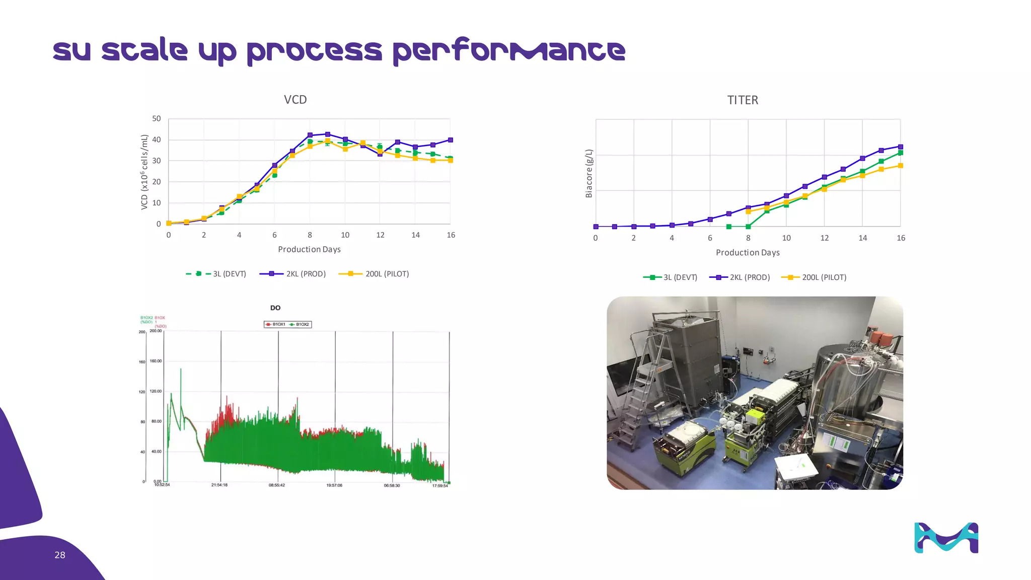 2
8
SU scale up process performance
0
10
20
30
40
50
0 2 4 6 8 10 12 14 16
VCD(x106cells/mL)
Production Days
VCD
3L (DEVT) 2KL (PROD) 200L (PILOT)
0 2 4 6 8 10 12 14 16
Biacore(g/L)
Production Days
TITER
3L (DEVT) 2KL (PROD) 200L (PILOT)
28
 