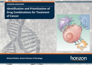 HORIZON DISCOVERY
Identification and Prioritization of
Drug Combinations for Treatment
of Cancer
Richard Rickles, Senior Director of Oncology
 
