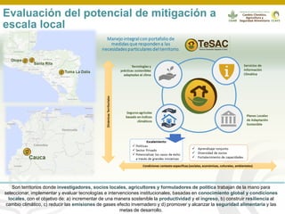 Webinar LAMNET 1 Deissy Martinez (es)