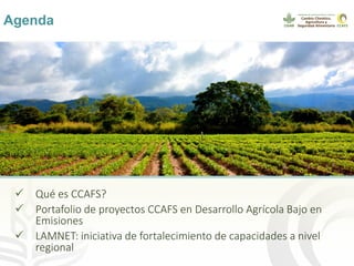 Webinar LAMNET 1 Deissy Martinez (es)