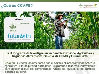 Webinar LAMNET 1 Deissy Martinez (es)