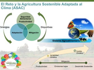 Webinar LAMNET 1 Deissy Martinez (es)