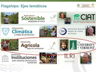 Webinar LAMNET 1 Deissy Martinez (es)