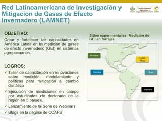 Webinar LAMNET 1 Deissy Martinez (es)