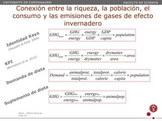 Webinar LAMNET 1 Identidad de Kaya-Porter