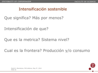 Webinar LAMNET 1 Identidad de Kaya-Porter