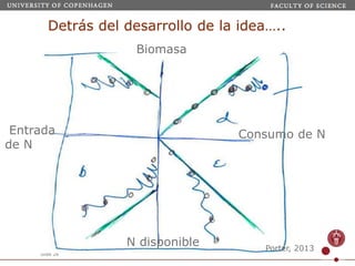 Webinar LAMNET 1 Identidad de Kaya-Porter