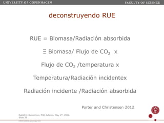 Webinar LAMNET 1 Identidad de Kaya-Porter