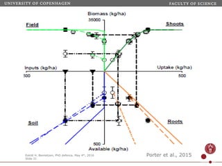 Webinar LAMNET 1 Identidad de Kaya-Porter
