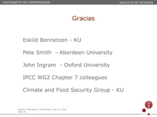 Webinar LAMNET 1 Identidad de Kaya-Porter