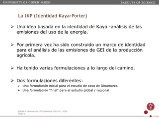 Webinar LAMNET 1 Identidad de Kaya-Porter