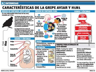 LIc. William Vegazo Muro 
educador230167@gmail.com 
3 
 