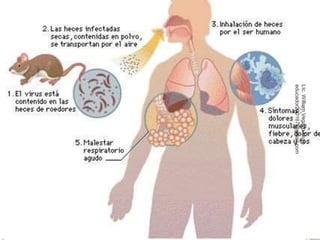 LIc. William Vegazo Muro 
educador230167@gmail.com 
5 
 