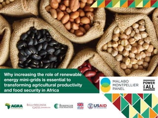 Why increasing the role of renewable
energy mini-grids is essential to
transforming agricultural productivity
and food security in Africa
 