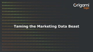 Taming the Marketing Data Beast
 
