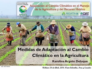 Medidas de Adaptación al Cambio
Climático en la Agricultura
Karolina Argote Deluque
Webinar 24 de Abril, 2014. 10am-Colombia, Peru y Ecuador
Foto: Neil Palmer
 