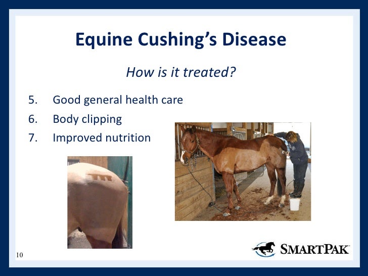Understanding Equine Metabolic Disorders Webinar Understanding Equine Metabolic Disorders Webinar